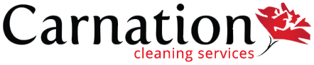 Residential Cleaning Services in SE Wisconsin Carnation Services